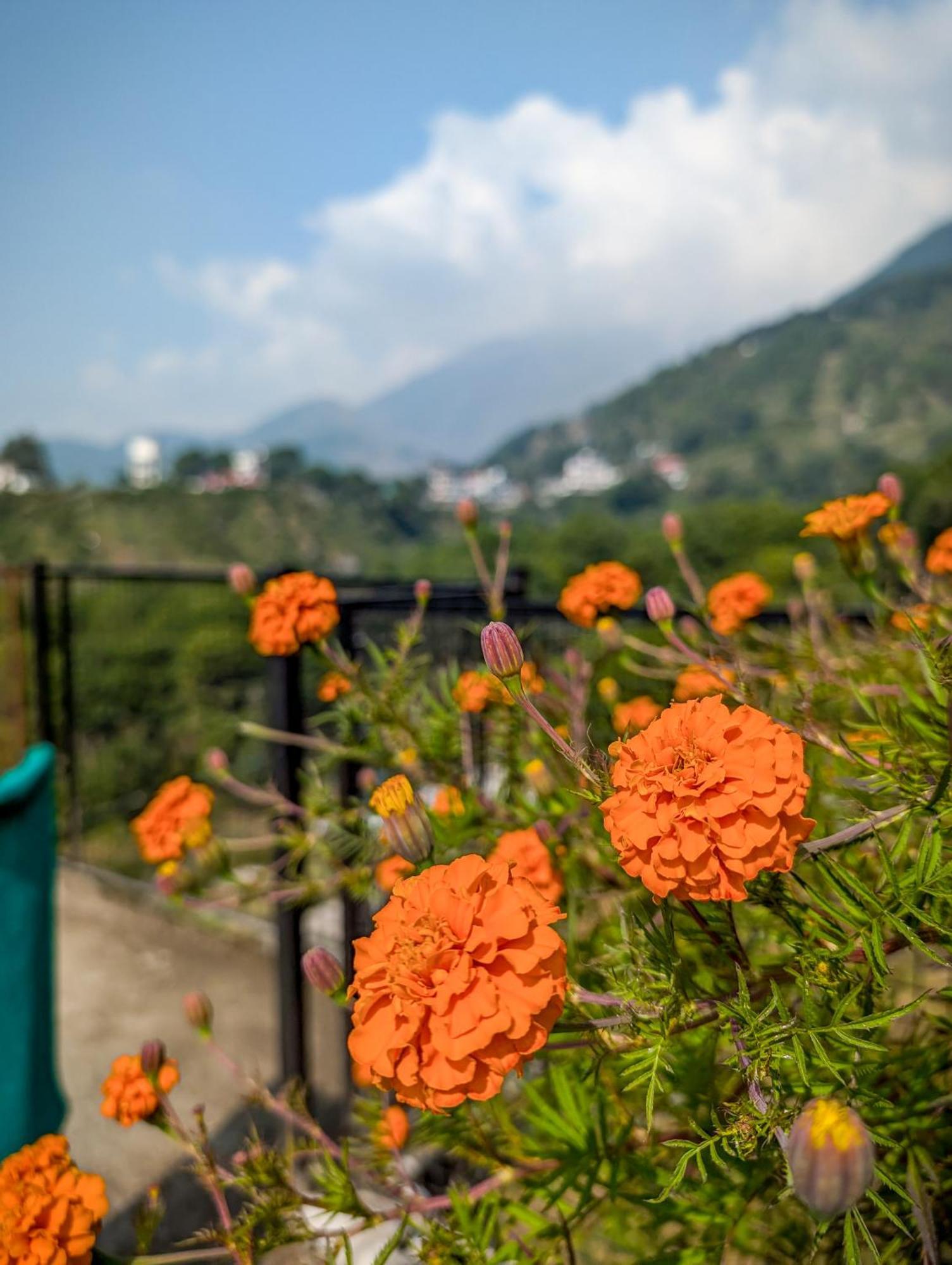 Hobo Hostel Dharamshala Buitenkant foto